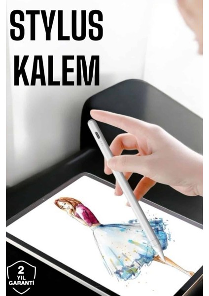 Teknorod Tablet Kalemi Stylus Pen Dokunmatik Kalem Android ve Ios Uyumlu Şarjlı