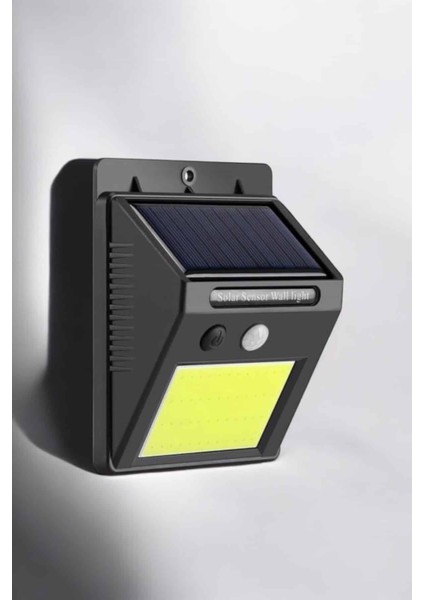 Teknorod Solar Güneş Enerji Panelli Sensörlü Lamba Enerji Tasarruflu