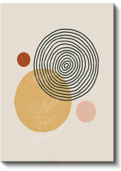 Spiral Desen - Geometrik Daireler Kompozisyonu Kanvas Tablo