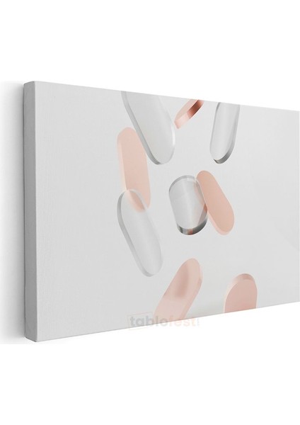 Minimalist Oval Formlar - Pembe Beyaz Geometrik Kompozisyon Kanvas Tablo modelleri
