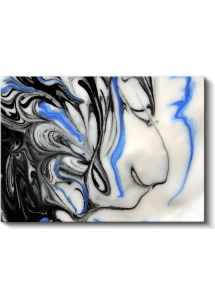 Akışkan Simetri - Siyah Beyaz Mavi Mermerleme Kanvas Tablo fiyatları