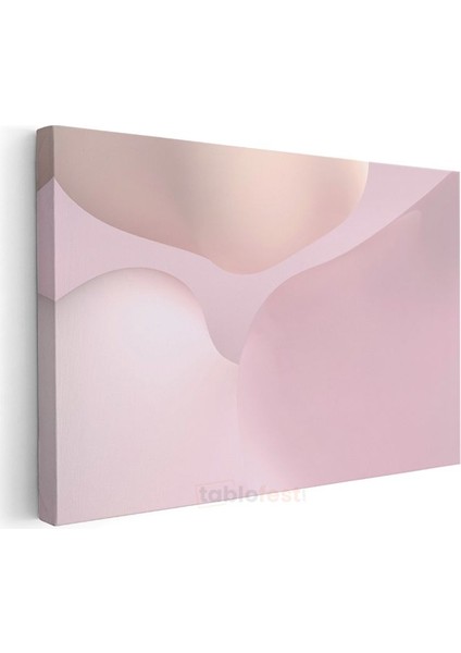 Pembe Soyut - Yumuşak Geçişli Minimalist Formlar Kanvas Tablo