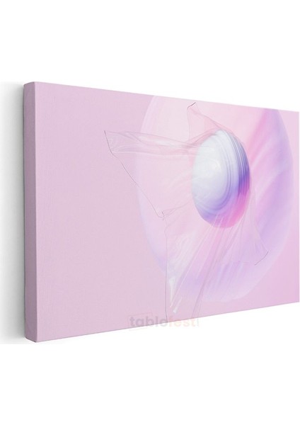 Pembe Sonsuzluk - Yumuşak Minimalist Soyut Kanvas Tablo modelleri