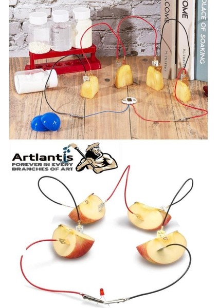 Dünya Güneş Ay Deney Seti ve Limon Deney Seti 1 Paket Proje Tasarım Okul Deney Seti fırsatları