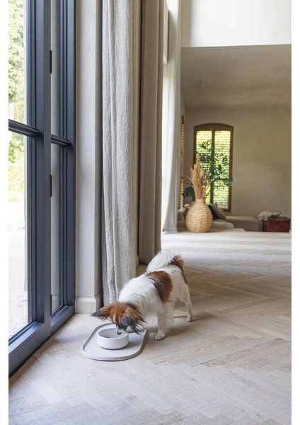 Dbl Köpek Mama Su Kabı, Bambu, Bej, 14CM, 410ML Dpmah