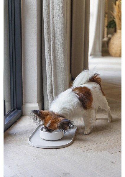 Dbl Köpek Mama Su Kabı, Bambu, Bej, 14CM, 410ML Dpmah fiyatları