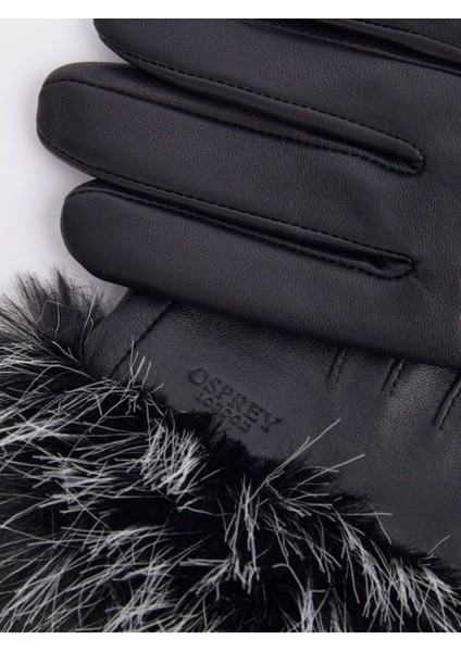 Penny Kışlık Deri Eldiven Şık Ve Sıcak Tasarım fırsatları
