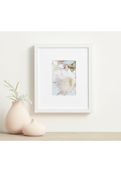 Çok Matlı Ahşap Galeri Masaüstü Çerçevesi 11 x 33