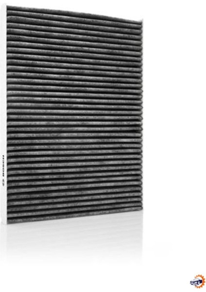 Polen Filtresi Megane Iıı 1.4-1.6-2.0 16V Dci 08 Karbonlu 1987432327