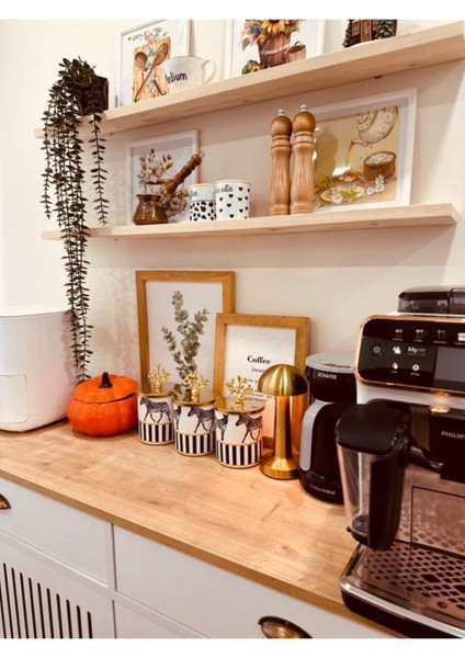 Baharatlık Silindir 3'lü Set Kahve Köşesi Zebra At Desenli Gold Mercan - Feray Home