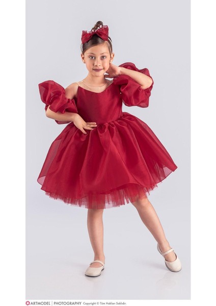 Kol Detaylı Saten Elbise ve Taç (Tam Kalıp) fiyatları