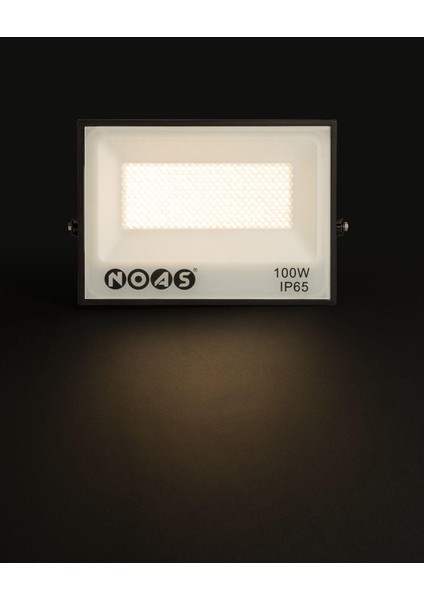 Projektör 100W Dış Mekan LED Projektör | Slim Kasa | IP66 | Soğuk Beyaz Işık