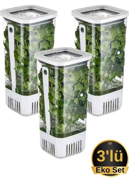 Yeşillik Saklama Kabı 3'lü Eko Set 1,7 Litre