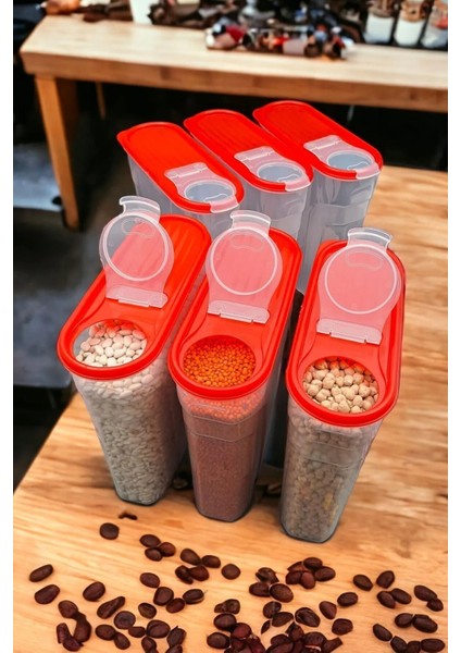 Renkli 3'lü Saklama Kabı Seti, Şık ve Kullanışlı, 4L Kapasiteli, Plastik, 6 Parça