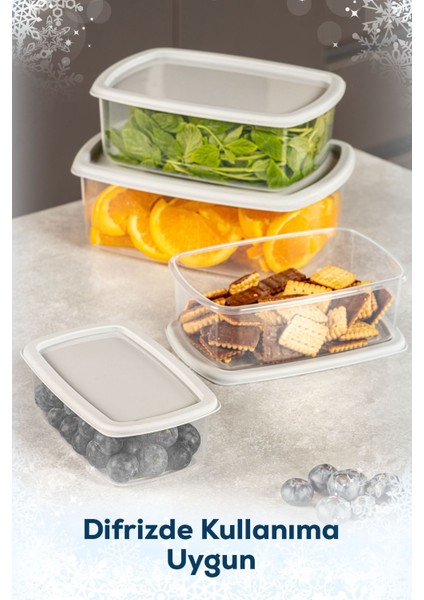 Dört Parça Hava Geçirmez Saklama Kabı Seti, Gri, Farklı Boyutlar (250-1200 ML) fırsatları