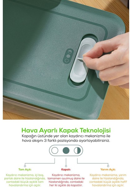 3'lü ayarlı sebze ve meyve saklama kabı, 3,8L, mint renkli, plastik, 3 parça modelleri