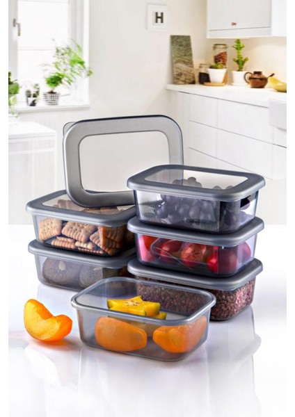6'lı Çok Amaçlı Saklama Kabı Seti, Mikrodalga ve Dondurucu Uyumlu, Şeffaf ve Antrasit fiyatları