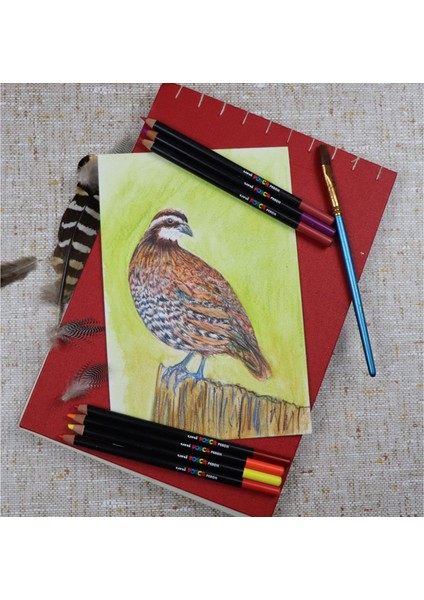 Posca Pencıl Boya Kalemi Sarı KPE-200