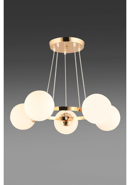 UltraNova fırsatları