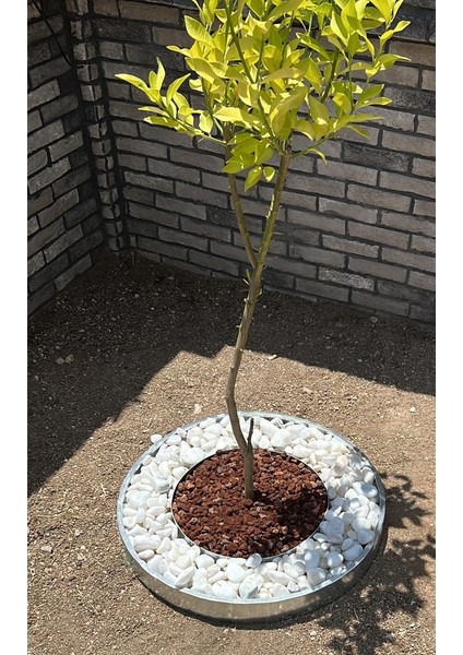 Mgf 20MT (2MTX10ADET) Çizgili Esneyebilen Galvaniz Metal Çim Toprak Taş Ayırıcı Ayraç Sınırlayıcı