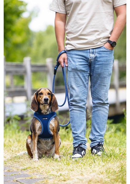 Köpek Göğüs Tasması, Neopren, Mavi, M, 41-46 cm fırsatları