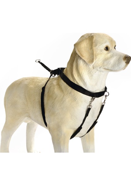 Köpek Yürüyüş Eğitim ve Düzeltme Tasması, XL