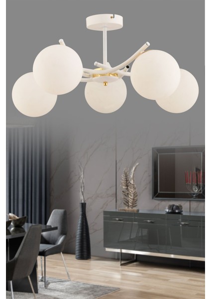 Ferma 5'li Beyaz Glop Camlı Modern Plafonyer Avize Salon Oturma Odası Hol Yatak Odası