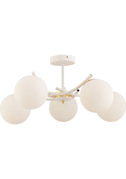 Ferma 5'li Beyaz Glop Camlı Modern Plafonyer Avize Salon Oturma Odası Hol Yatak Odası fiyatları