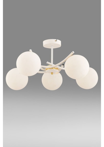 Ferma 5'li Beyaz Glop Camlı Modern Plafonyer Avize Salon Oturma Odası Hol Yatak Odası modelleri