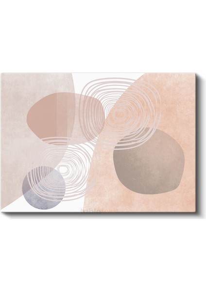 Organik Formlar - Pastel Tonlarda Minimalist Kompozisyon Kanvas Tablo fiyatları
