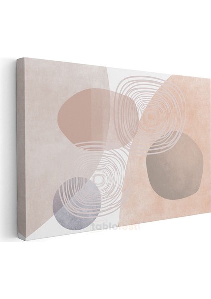 Organik Formlar - Pastel Tonlarda Minimalist Kompozisyon Kanvas Tablo modelleri