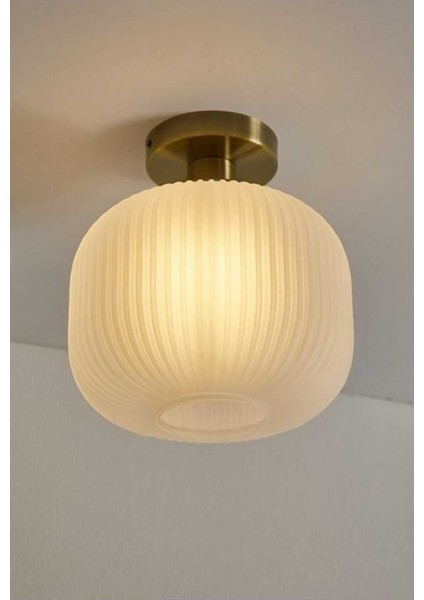 Mylights Rustik Modern Opal Camlı Tavan Plofonyer Avize