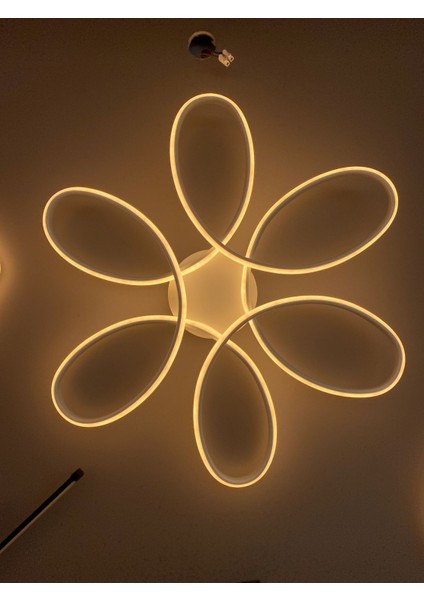 UltraNova fiyatları