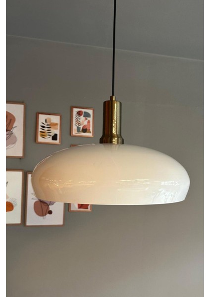 UltraNova fiyatları