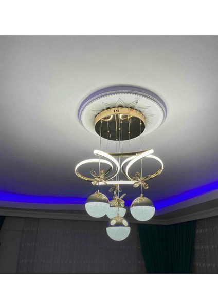 UltraNova fiyatları