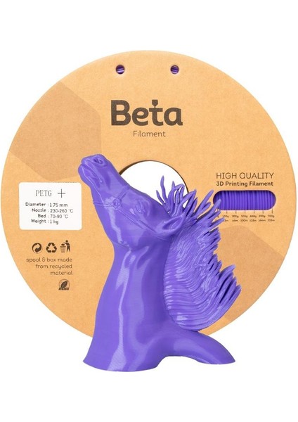 Petg+ Filament Purple