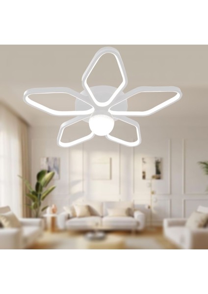 UltraNova fiyatları