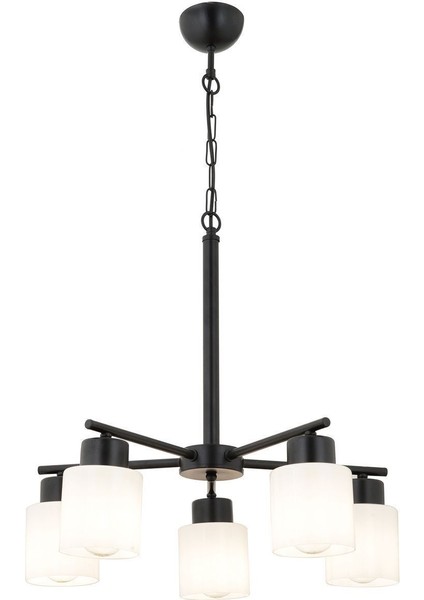 UltraNova indirimleri