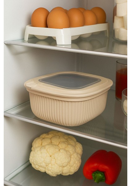 3'lü Renkli Kapaklı Saklama Kabı – Mikrodalga ve Buzdolabı Uyumlu, Pratik ve Şık fırsatları