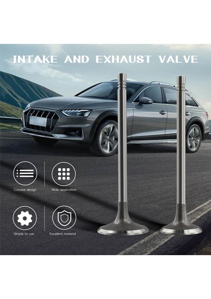 Audi A3 A4 A5 A6 Vw Golf Gtı Tiguan Passat B7 cc Jetta Için 16 Adet Emme Egzoz Vanaları 06D 109 601 M 06D 109 611 H (Yurt Dışından)
