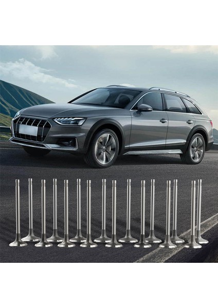 Audi A3 A4 A5 A6 Vw Golf Gtı Tiguan Passat B7 cc Jetta Için 16 Adet Emme Egzoz Vanaları 06D 109 601 M 06D 109 611 H (Yurt Dışından)
