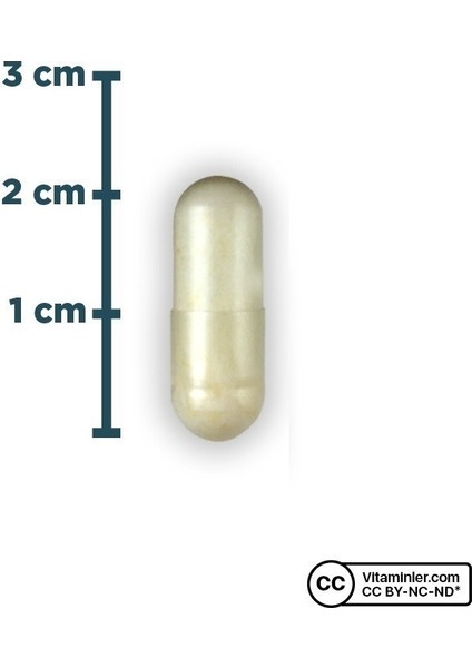 Probiotic 5B 60 Kapsül
