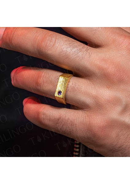 925 Ayar Gümüş Altın Kaplama Ametist Taşlı Sade Erkek Yüzük modelleri