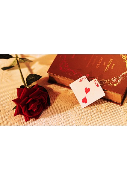 Aşkınıza Özel Kolay Yapılabilen Torn & Restored Kart Sihirbazlık Numarası (Yurt Dışından) fiyatları