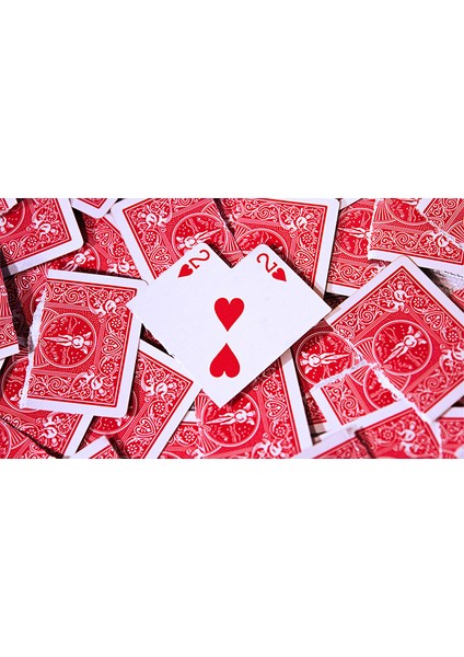 Aşkınıza Özel Kolay Yapılabilen Torn & Restored Kart Sihirbazlık Numarası (Yurt Dışından) modelleri