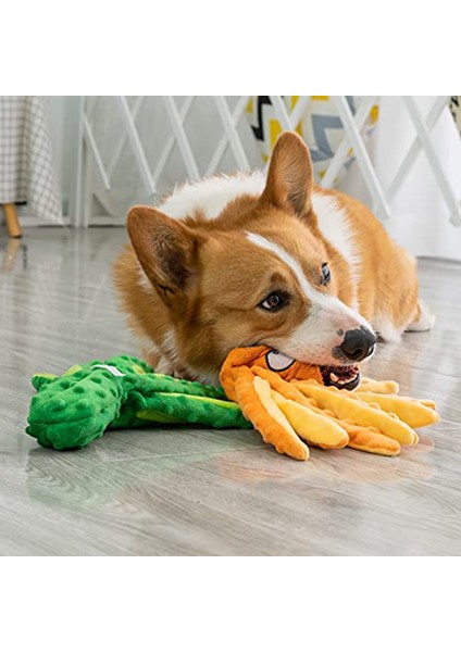 Xixishop Köpek Yastık Ahtapot Çiğnemelik Oyuncakı, Dolgusuz, Yeşil (Yurt Dışından) fırsatları