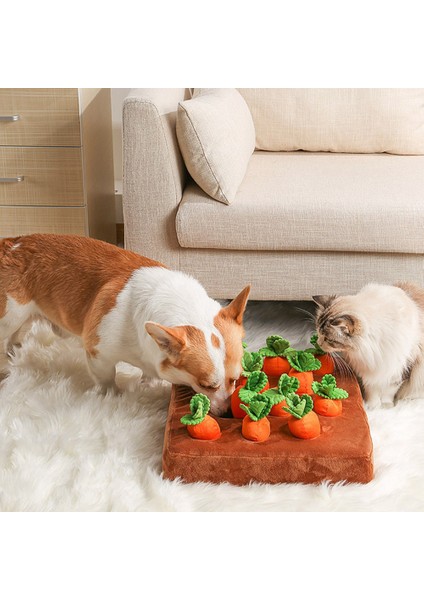 Xixishop Havuçlu Etkileşimli Köpek ve Kedi Plüsch Bulmaca Oyuncak (Yurt Dışından) modelleri