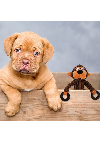 Xixishop Küçük ve Orta Boy Evcil Hayvanlar Için 5'li Köpek Pluş Oyuncakları (Yurt Dışından) fiyatları