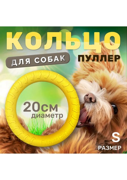 Xixishop Eva Evcil Hayvan Oyuncak Köpek Si Dalı Diş Sıyrtma Eğitimi (Yurt Dışından) modelleri