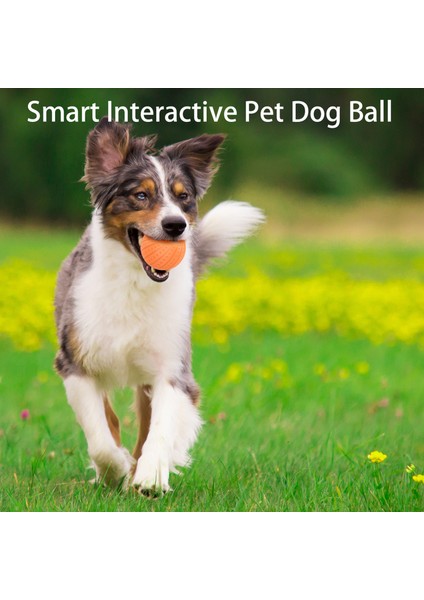 Xixishop Köpek Oyuncak Topu Iki Çalışma Moduyla Etkileşimli Düşük Gürültülü Tasarım (Yurt Dışından)